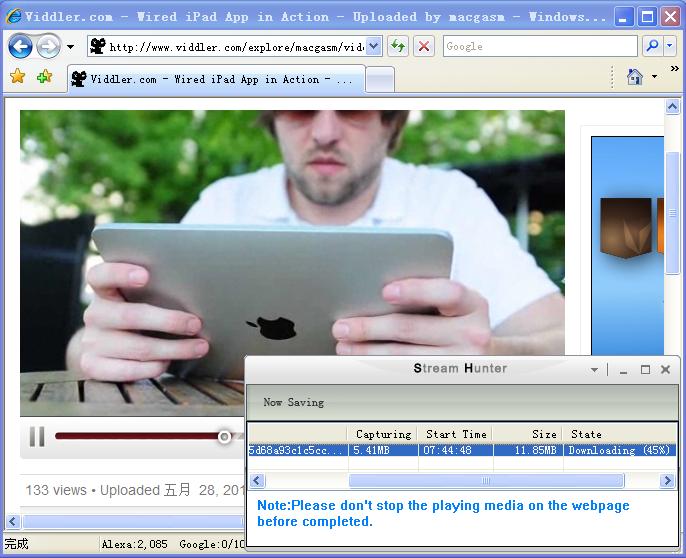 Download  Viddler Video 2