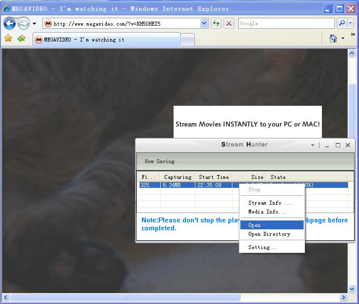 Play Megavideo Video